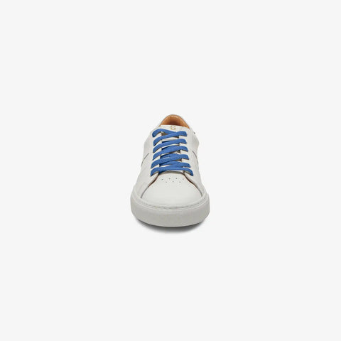 GREATS Premium Elastic Laces - Cobalt