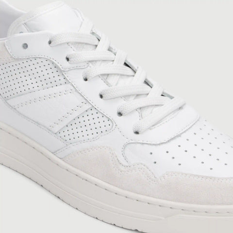 The Kingston - White White