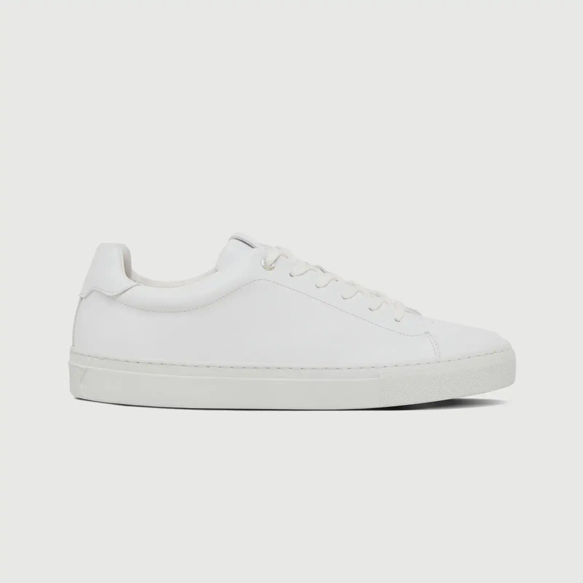 The Regent 2.0 - Blanco